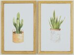 (image for) Potted Succulent Framed Picture Set 2pc