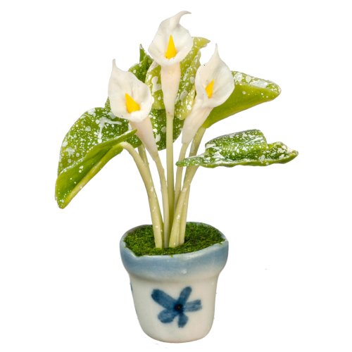 (image for) Calla Lily in Pot - White