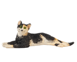 (image for) Stretched Calico Cat