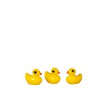 (image for) 12 Yellow Duckies