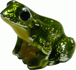 (image for) Frog