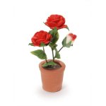 (image for) Potted Red Roses