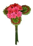 (image for) Single Pink Geranium w/ Leaves