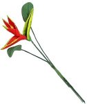 (image for) Single Red Bird-of-Paradise w/ Leaves