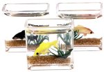 (image for) Fish Tank w/ Assorted Fish