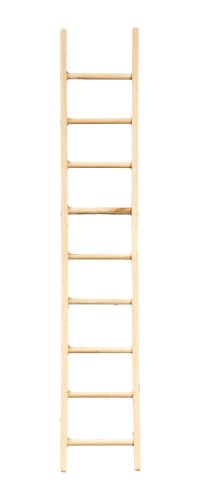 (image for) 10in Ladder