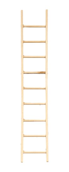 (image for) 10in Ladder