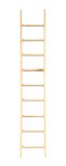 (image for) 10in Ladder