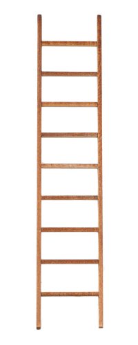 (image for) 10in Ladder w/ Treads