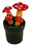 (image for) Red Spotted Mushrooms in Pot