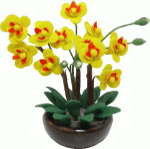 (image for) Orchid Arrangement in Pot Yellow