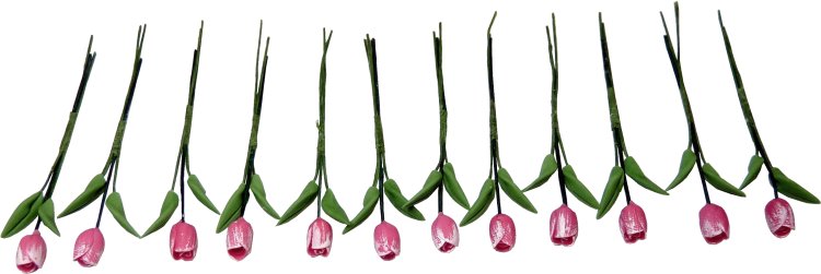 (image for) Dozen Frosted Pink Tulips