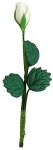 (image for) Single White Rose Bud w/ Leaves