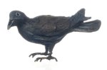 (image for) American Crow