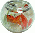 (image for) Fish Bowl