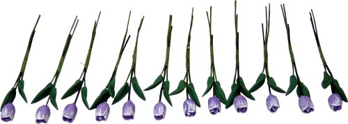 (image for) Dozen Frosted Lavender Tulips