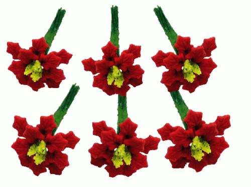 (image for) Half Dozen Poinsettias Red