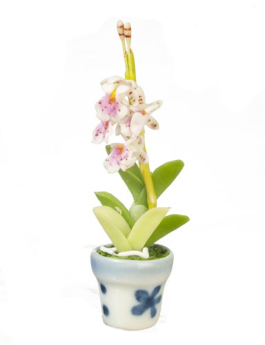 (image for) Oncidium in Pot White