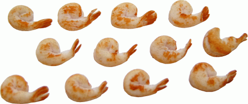 (image for) Shrimp 12pc