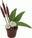 (image for) Cattail Arrangement in Pot