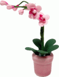 (image for) Orchid Branch in Pot Pink