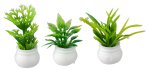 (image for) Green House Plant - Set 1 - 3pc