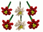 (image for) Half Dozen Poinsettias Red & White