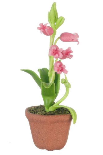 (image for) Potted Lily Pink