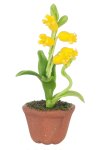 (image for) Potted Lily Yellow