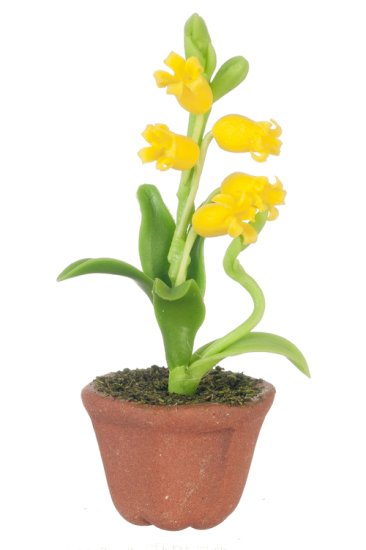 (image for) Potted Lily Yellow