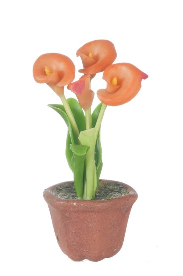 (image for) Potted Anthurium Orange