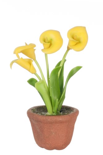 (image for) Potted Anthurium Yellow