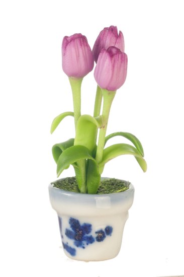 (image for) Potted Tulips Lavender