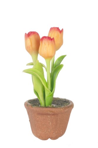 (image for) Potted Tulips Pink