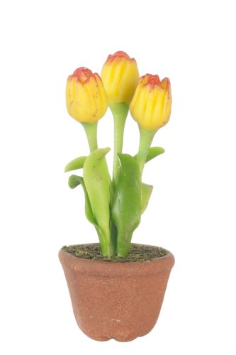 (image for) Potted Tulips Yellow/Red