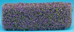 (image for) Hedge Lilac