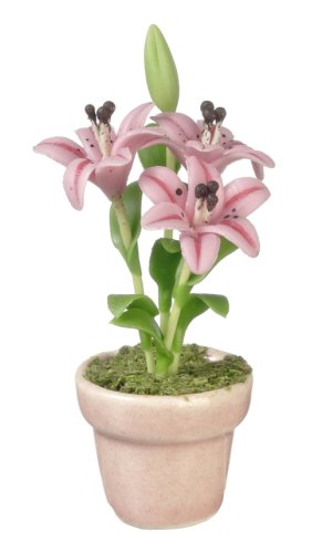 (image for) Lilies Pink