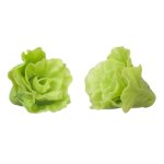 (image for) Lettuce 2pc