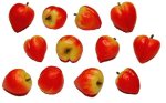 (image for) Peaches & Nectarines 12pc