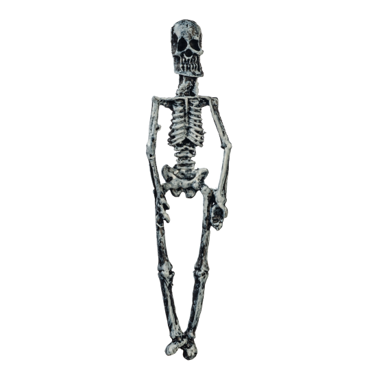 (image for) Skeleton