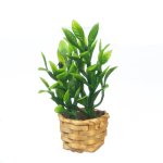 (image for) Bamboo Plant in Basket