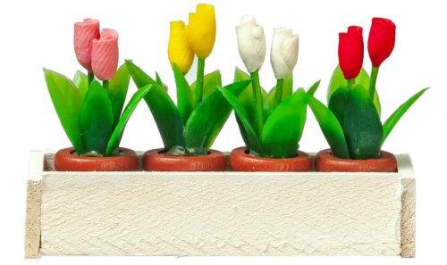 (image for) Tulips in a White Window Box