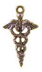 (image for) Medical Caduceus Silver