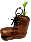 (image for) Seedling in Boot Planter