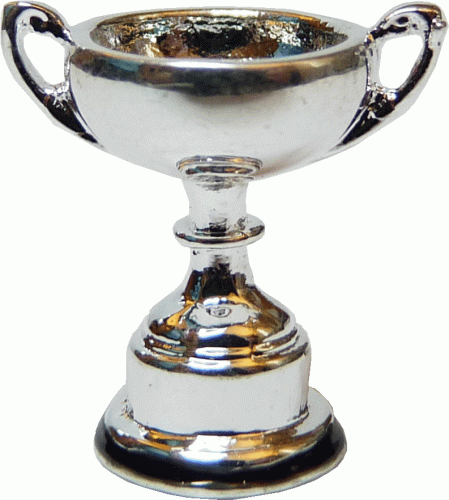 (image for) Trophy Cup