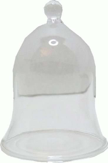 (image for) Large Glass Display Bell