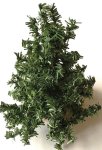 (image for) Evergreen Tree Kit