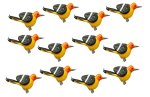 (image for) Robin Bird Set 12pc