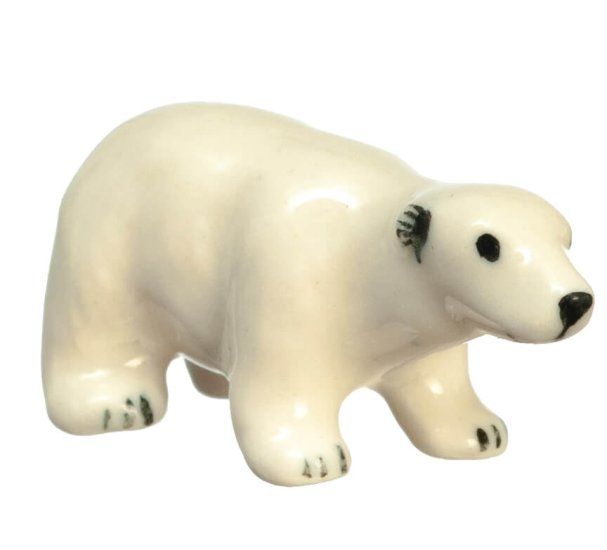 (image for) Polar Bear