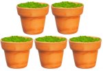 (image for) Plant Pots - Filled - Brown 5pc